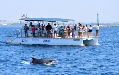 Jonian-Dolphin-Conservation-3